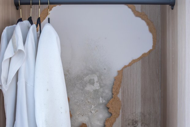 Mould damaged wardrobe and contaminated shirts
