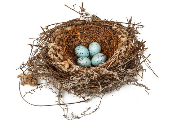 ‘Avian architecture’: Why birds’ nests are truly grand designs