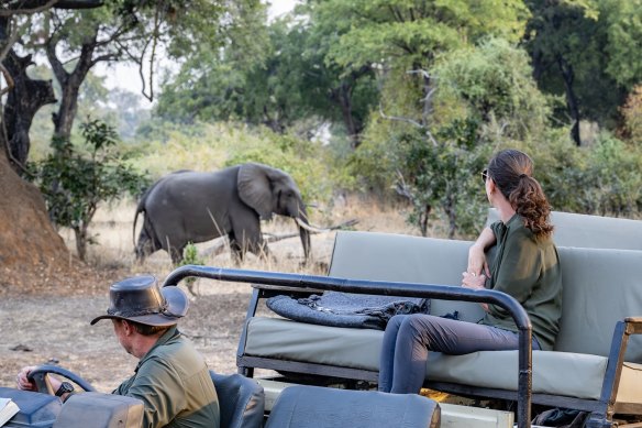 Nkonzi camp safari … wild at heart.