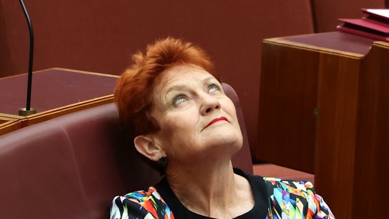One Nation is thriving despite the abhorrent stunts
