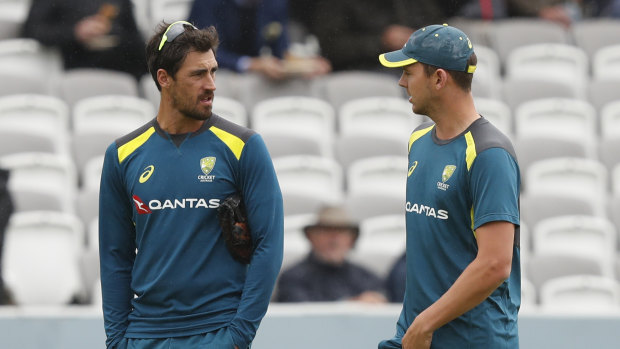 Watching brief: Mitchell Starc had fallen out of favour during the Ashes series.