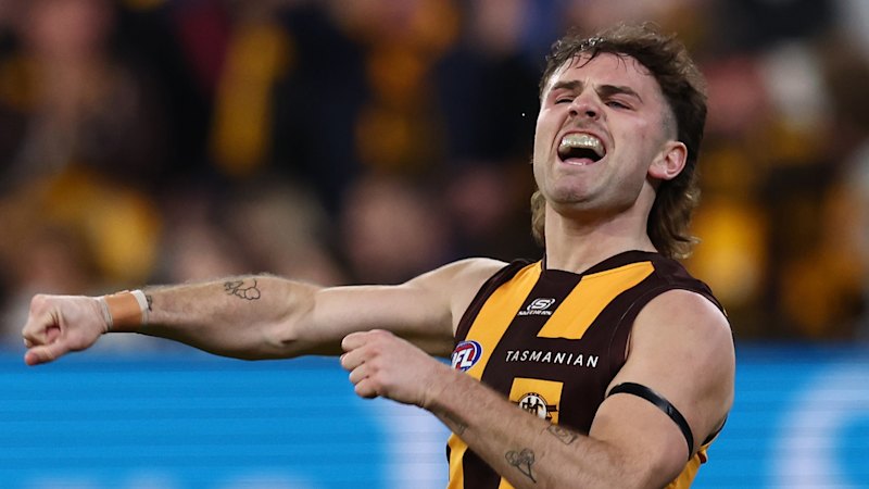 Geelong Cats V Hawthorn Hawks Semi-final Player Ratings: Patrick Da...