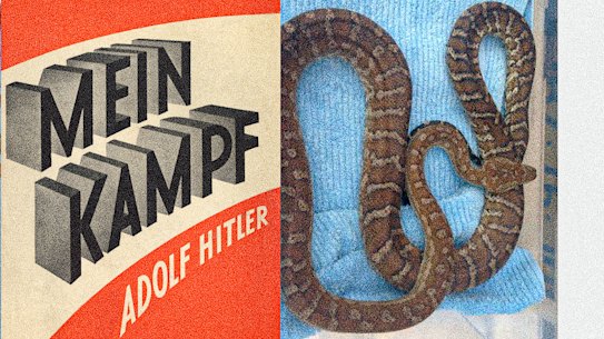 NSW man arrested after 50 stolen snakes, weapons and terror handbook found in police raids. Index