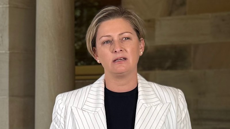 Embattled Queensland minister resigns from cabinet