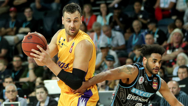 In the frame: Andrew Bogut returned season-best numbers for the Kings in their NBL win over the New Zealand Breakers.