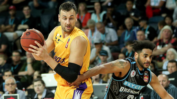 Popular attraction: Andrew Bogut has helped bring the crowds to the Kings this season.