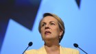 Tanya Plibersek said she had attended pro-choice rallies as a teenager.
