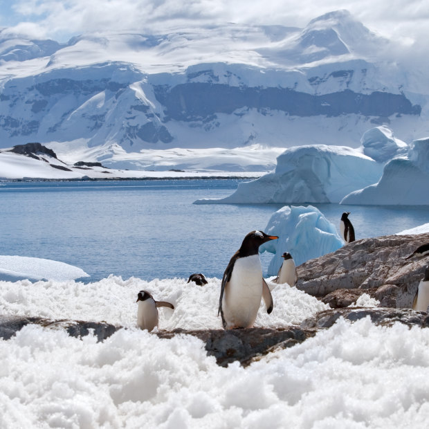 Spectacular Antarctica.