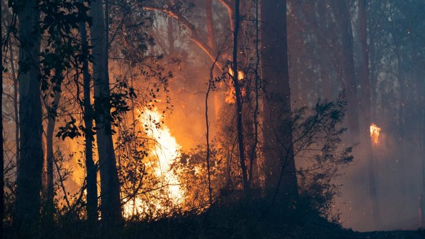 The Pechey bushfire, north-east of Toowoomba, where there were fears at least five homes were lost.
