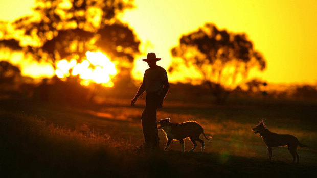 Farmers have been already been hit hard by drought - with the Bureau of Meteorology saying rainfall totals in Australia in 2018 were the lowest since 2005.