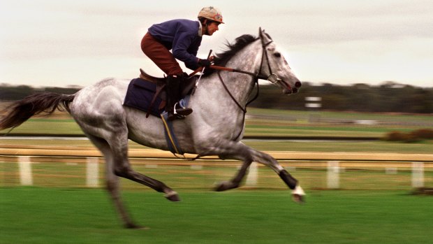 The Queen’s horse Arabian Story was beaten in the Melbourne Cup by Might and Power. 