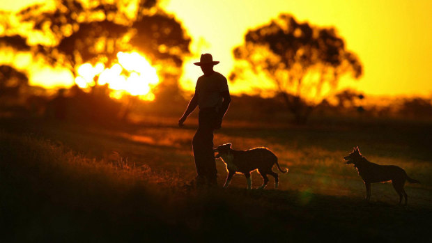 Farmers have been hit hard by drought. The Bureau of Meteorology says rainfall totals in Australia in 2018 were the lowest since 2005.