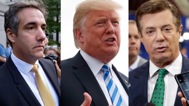 President Donald Trump's former lawyer Michael Cohen (left) pleaded guilty to financial crimes on the same day former Trump campaign manager Paul Manafort (right) was found guilty of financial crimes.