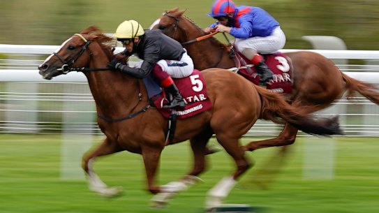 Scone hosts a seven-race card on Tuesday.