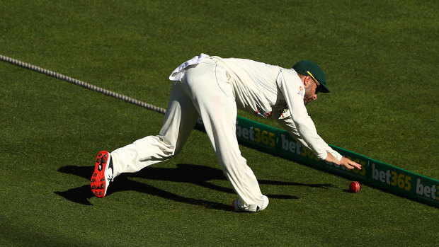 Matthew Wade appears to hurt his ankle in a fielding attempt.