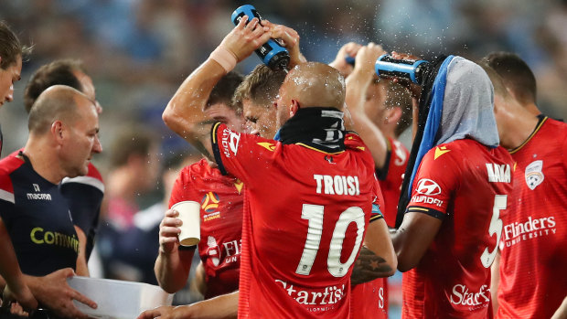 Adelaide players take a drinks break during the match with Sydney FC on Saturday night. 