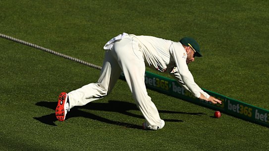 Matthew Wade appears to hurt his ankle