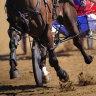 Man charged with match-fixing at Queensland harness races