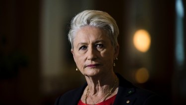 Independent MP Kerryn Phelps pushed for the King Cross injecting rooms and says the experience shows harm minimisation works. 