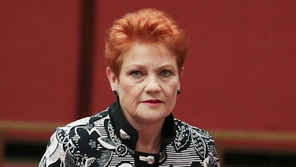 One Nation leader Pauline Hanson put forward a motion declaring: "It's OK to be white."