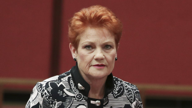 One Nation leader Pauline Hanson put forward a motion declaring: "It's OK to be white."