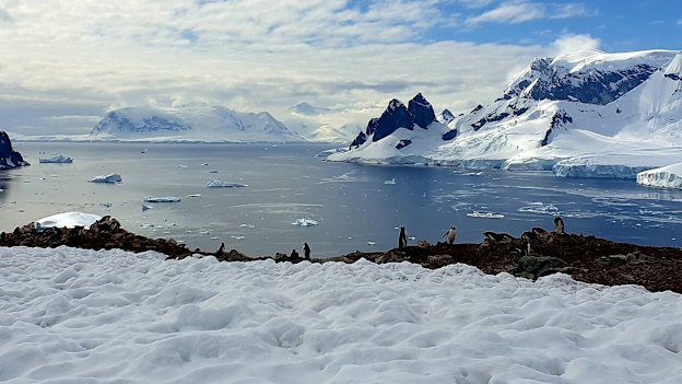Danco Island last year, where the author struggled through knee-deep snow.