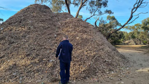 An EPA investigator examines a pile of mulched building waste on Limbourne’s bush property.