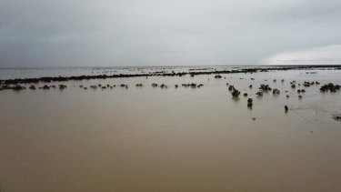 Flooding west of Julia Creek, North Queensland.