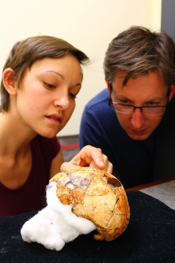 Archaeology students Angeline Leece and Jesse Martin with the reconstructed skull, put together from more than a hundred fragments.