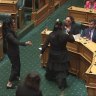 Haka interrupts NZ parliament, MPs kicked out, as treaty bill arrives
