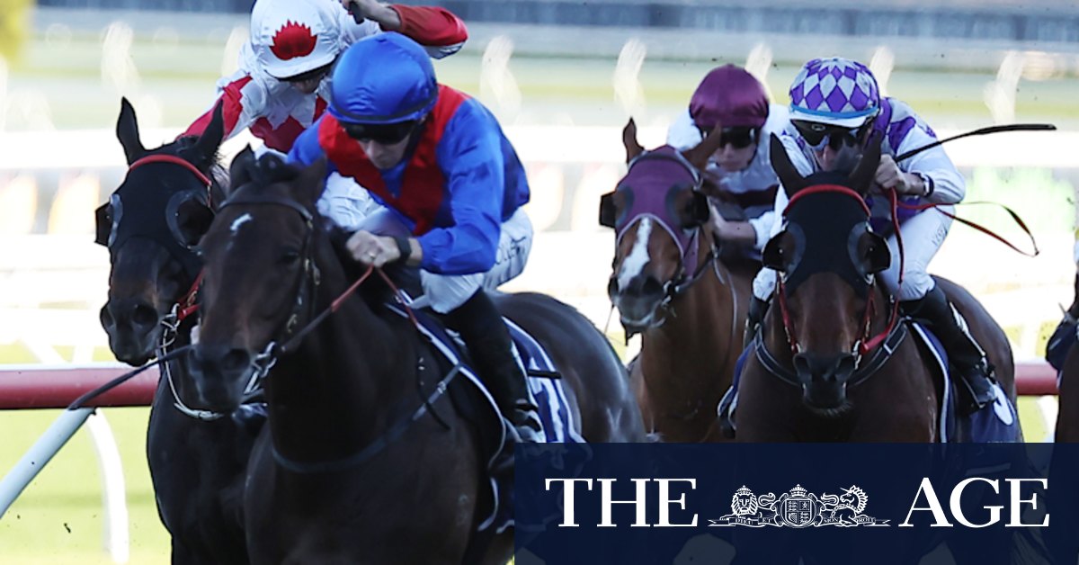 Ryan questions call to scrap Missile Stakes after Randwick washout