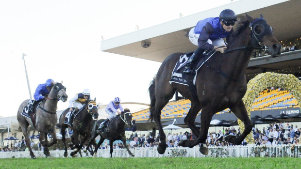 Gloaming Stakes winner Shadow Hero can continue the rise of Mark Newnham in the Spring Champion Stakes. 