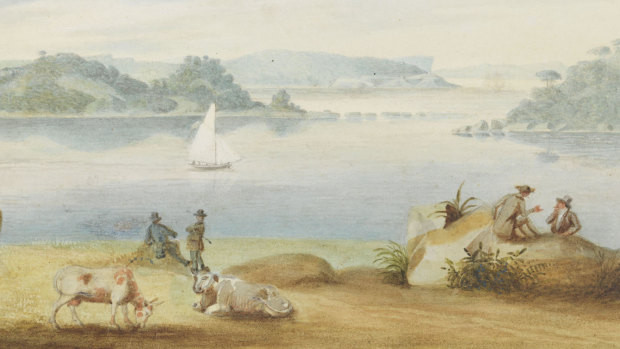 "View of Sydney Harbour towards Shark Island" by Jacob Janssen, 1853. 