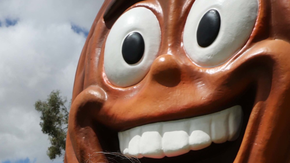 After Big Banana and Big Pineapple, Australia has a new big thing