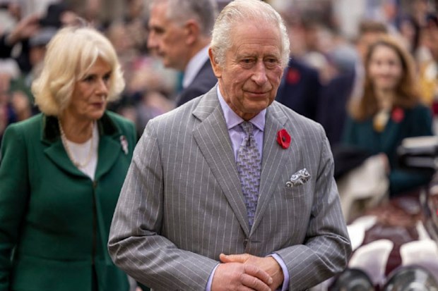 King Charles and Camilla, the Queen Consort
