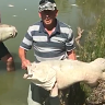 Shocking video shows dead 'century-old fish' in Australian environmental 'disaster'