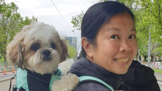 Spark goes for a ride on a tram.