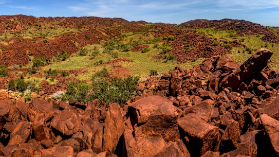 More than a million petroglyphs are scattered around Murujuga National Park, which overlooks Woodside’s Karratha gas plant operations.