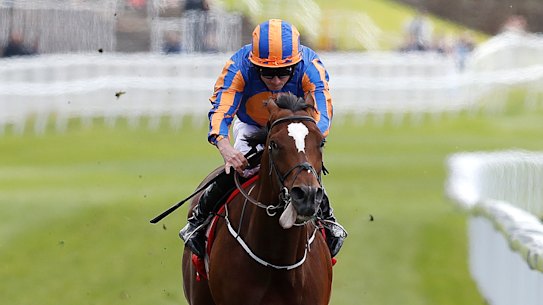 Coolmore boss Aiden O'Brien weighing Cox Plate options for Rostropovich