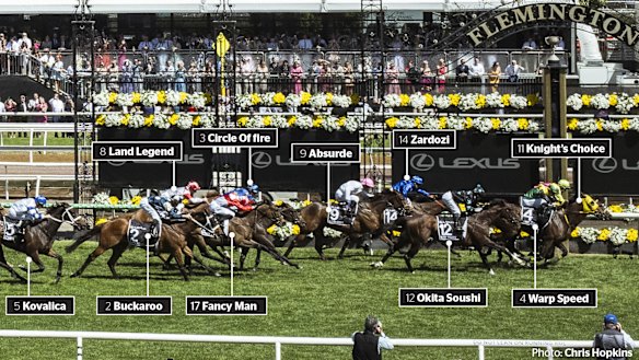 How they crossed the fine. The top 10 finishers in the 2024 Melbourne Cup.