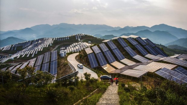Solar PV panels in China's Fujian province.