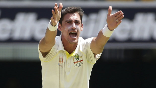 200 club: Mitch Starc is only the second Australian left-hander to reach the milestone.