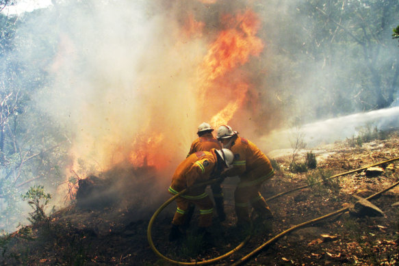 NSW volunteer rural firefighters fight a fire in Springwood, Blue Mountains in January 2002. The deadly fire season followed back-to-back La Nina summers. 