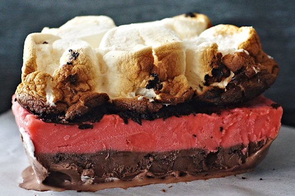Neapolitan ice-cream cake topped with cookie crumb and toasted marshmallows.