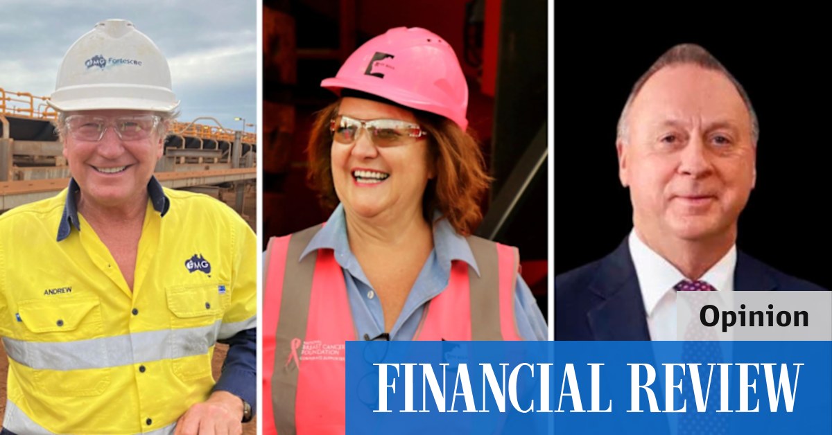 Gina Rinehart Liontown raid another case of eleventh hour M&A anticas - Vimarsana News