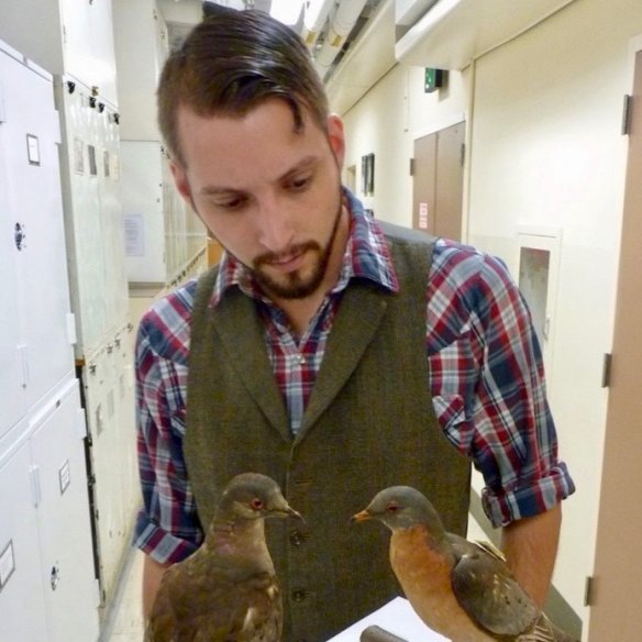 Ben Novak with Martha, the last passenger pigeon, preserved with another of her species. Her death in 1914 galvanised America’s conservation movement.