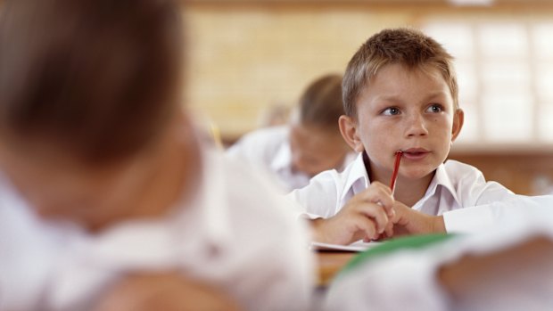 Students can currently complete their schooling without learning the basics of Australia’s democratic system.