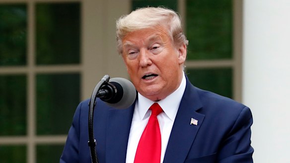 US President Donald Trump speaks about the coronavirus in the Rose Garden of the White House.