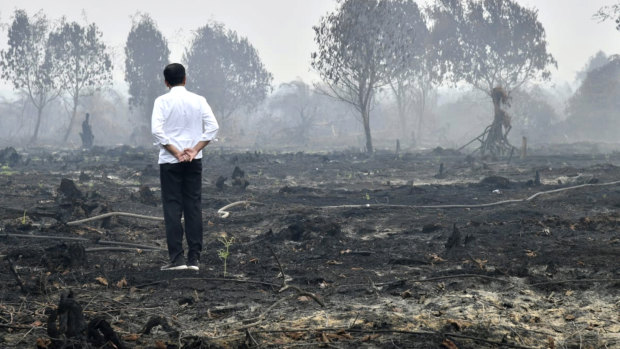Joko Widodo travelled to the area hardest hit by forest fires, as neighbouring countries urged his government to do more to tackle the blazes that have spread a thick, noxious haze around Southeast Asia.