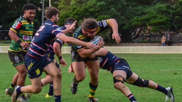 Gordon knocked off Eastern Suburbs in round one to kick off their season on the right note in the Shute Shield. 